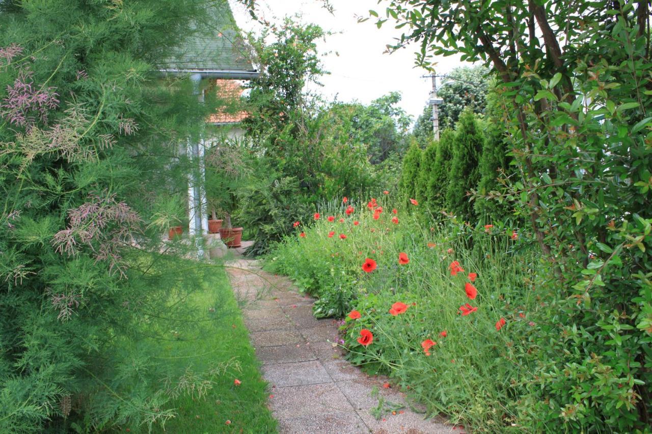 Boulevard Garden House - Free And Save Parking In The Locked Yard Чуприя Екстер'єр фото